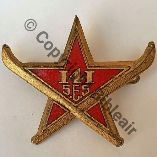 RIA  141eRgt INFANTERIE ALPINE SECTION ECLAIREURS SKIEURS  SM Bol Dos lisse Embouti leger Src.mdt.collections 225EurInv 